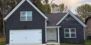 Beautiful New Construction Home For Rent! Gallery 1