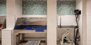 The Magnolia Gallery 17