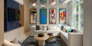 Tortoise One Gallery 52