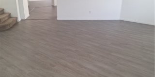 304 Raptors View Avenue Gallery 24