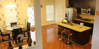 42387 TRELLIS Square Gallery 5