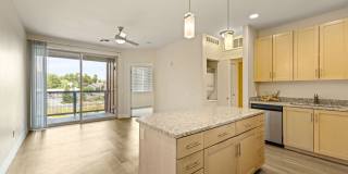 Mountain Trail Gallery 50