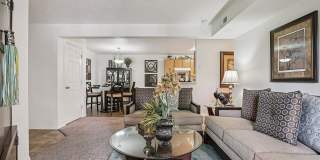 Pinebrook Gallery 15