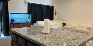 13175 Sierra Blanca Way Gallery 10
