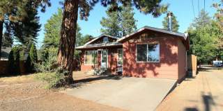 Charming 3-Bedroom Home Across from Orchard Park Gallery 16