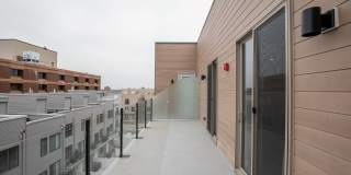 The Michener Gallery 14