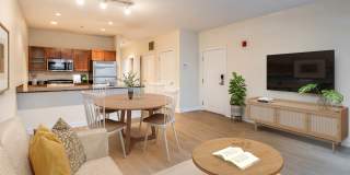 The West End Apartments-Asteria, Villas and Vesta Gallery 22