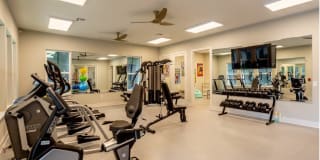 Belforest Villas Gallery 15