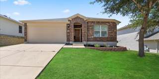 6046 MULE DEER Gallery 1