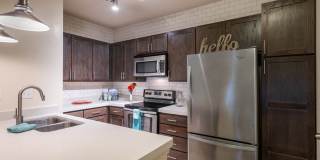 Terra Mar Gallery 40