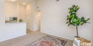 Bradford Park Gallery 99