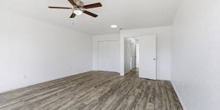 3811 Cedar Spring Gallery 20