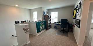 7323 Perseus Brook Gallery 19