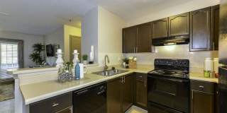 Elevate at Dawson Forest Gallery 3