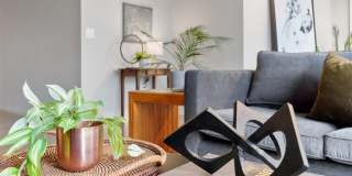 915 Olive Street Gallery 7