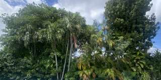 1540 Southwest 74th Court Gallery 20