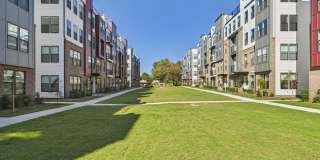 1259 Shaw View Alley Gallery 3