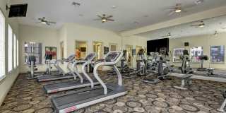 Le Mirage Gallery 14