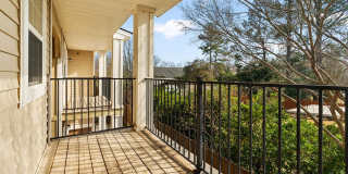 Helena Springs Gallery 23