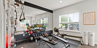 Shelter Cove Gallery 30