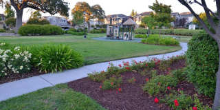 3BR/2.5BA Oak Commons Home w/ Backyard & Community Pool & Park Gallery 22