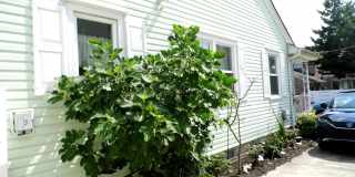 819 Pelham Pl Gallery 25