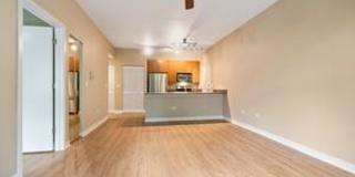 1509 South Halsted St. Gallery 9