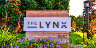The Lynx Gallery 33