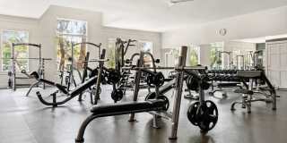 Riata Austin Riata Austin Gallery 27