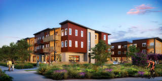 Weathervane Gallery 46