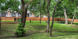 Arbor Creek Gallery 28