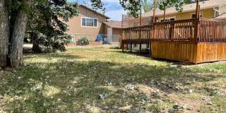 STUDENTS WELCOME! 4 Bed 2 Bath Home in West Ft Collins w/ Garage and Fenced Yard Gallery 16