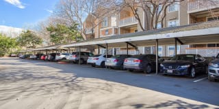 Woodland Meadow Gallery 40