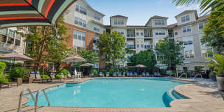 Sofi Lyndhurst Gallery 48