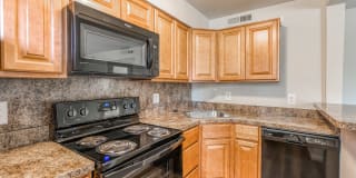 Seton Park Gallery 11