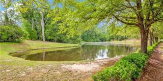 3BD 2Bath Condo Gallery 15