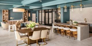 The Canopy Gallery 26