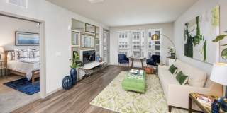 Maitland City Centre Gallery 2