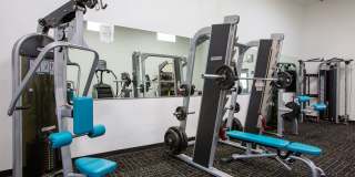 Whispering Sands Gallery 17