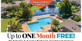 Regatta Bay Gallery 1