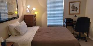 Live the Bayshore Boulevard / Soho Lifestyle, in Style! Gallery 12