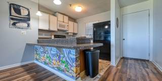 FURNISHED OFF-SEASON OCEANFRONT MONTHLY RENTAL Gallery 10