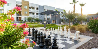 Acero at the Stadium Gallery 5