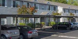 Avana Evergreen Gallery 24