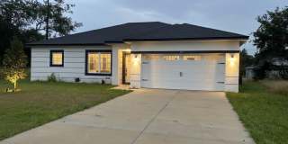 373 AMBERJACK Gallery 1