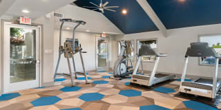 Avana Cordoba Gallery 22