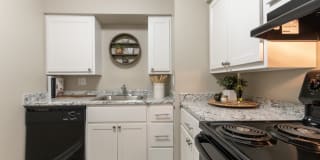 Aspen Village Gallery 15