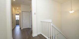 6574 S Anise Court Gallery 11
