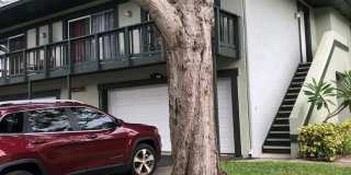 EASTWOOD SHORES TOWNHOUSE Gallery 1