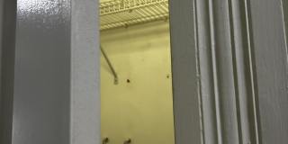 153 Punta Alley Gallery 22